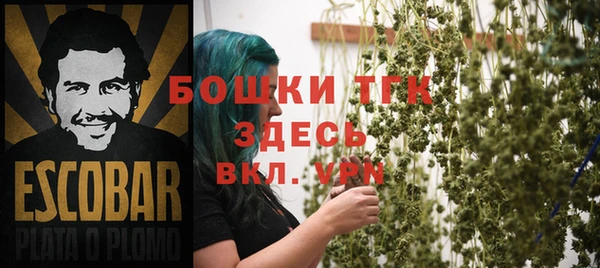 крисы Володарск